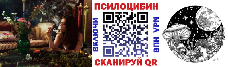 Псилоцибиновые грибы мицелий  Купить закладки  Серпухов 