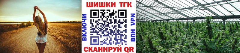 Купить где  Серпухов  Бошки Шишки VHQ 